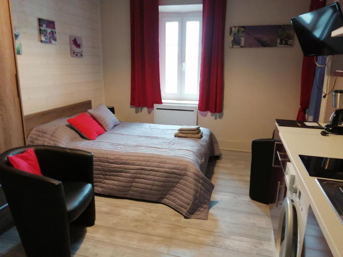Joli Studio Dans Un Ancien Hotel Du XIX Siecle - Proche Toutes Commodites - Thermes Et Parc ヴィッテル エクステリア 写真